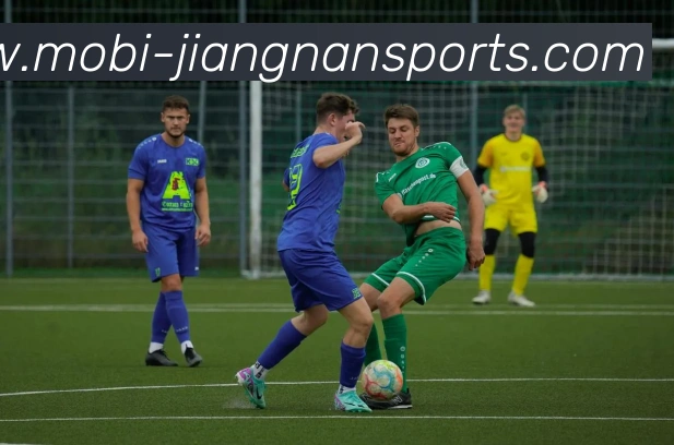 江南体育全站App